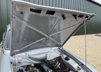 EscortMexico_detail8